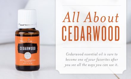 All About Cedarwood