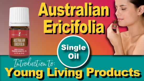 Australian Ericifolia Essential Oil by Young Living - Thriving With Oils Fran Asaro