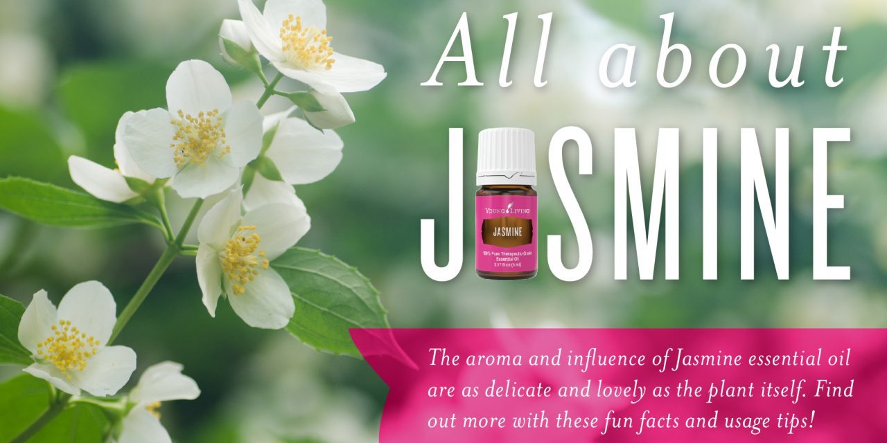 All About Jasmine