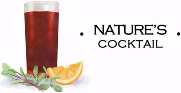 Nature’s Cocktail