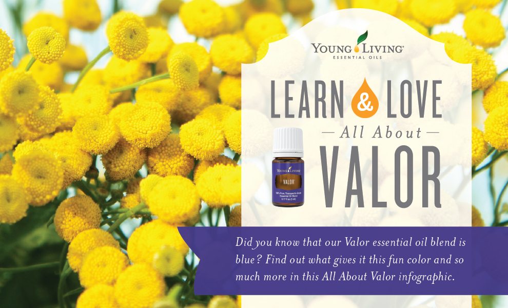Learn & Love: All About Valor