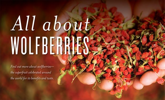 All About Wolfberries