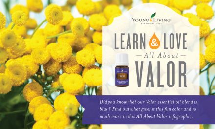 Learn & Love: All About Valor