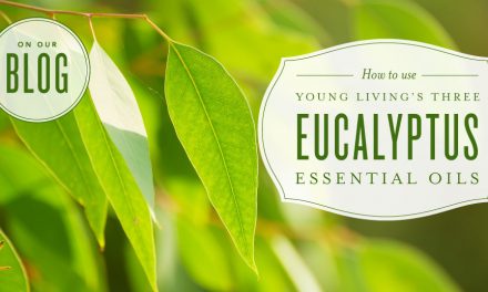 How to use Eucalyptus essential oils